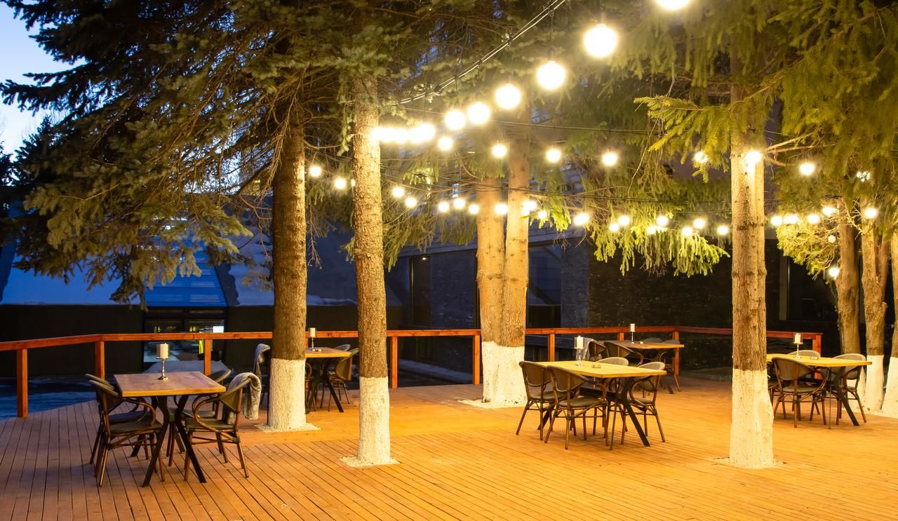 Отель Bakuriani Inn Бакуриани-13