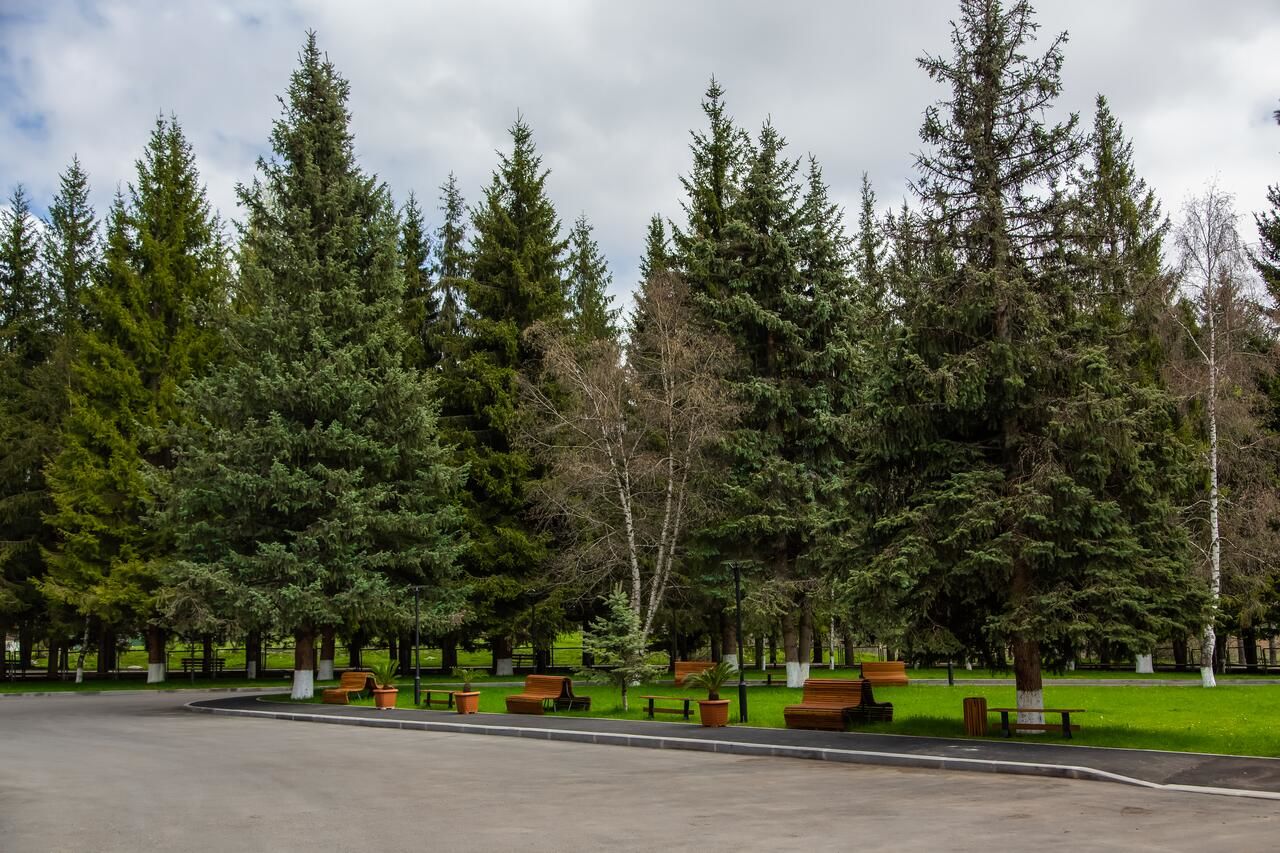 Отель Bakuriani Inn Бакуриани-5