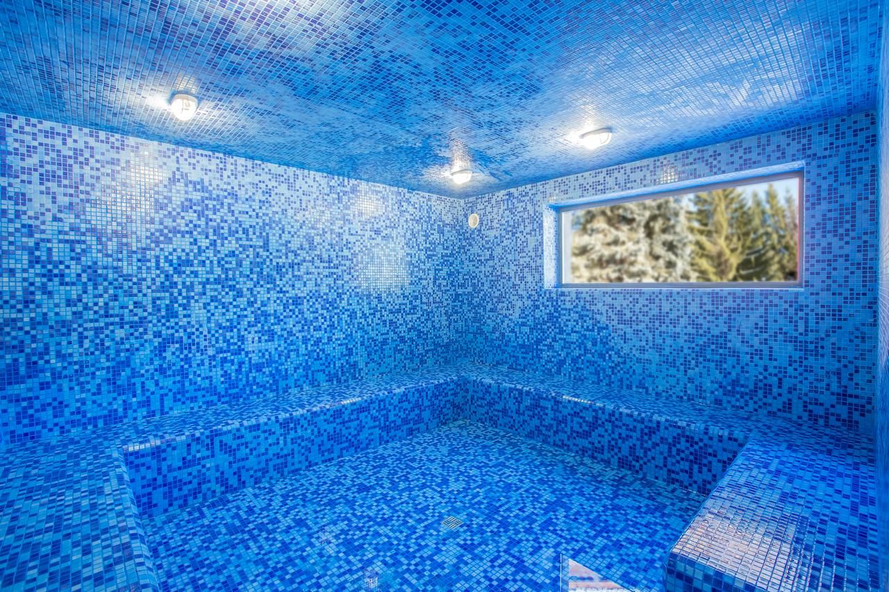 Отель Bakuriani Inn Бакуриани-29
