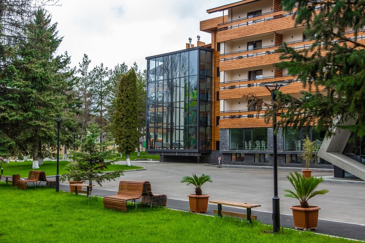 Отель Bakuriani Inn Бакуриани-6