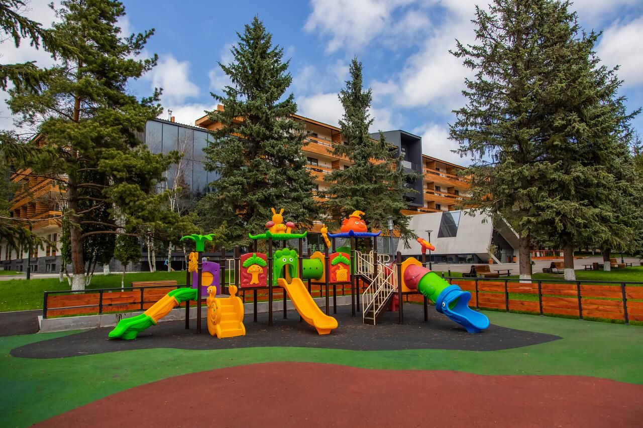Отель Bakuriani Inn Бакуриани-39