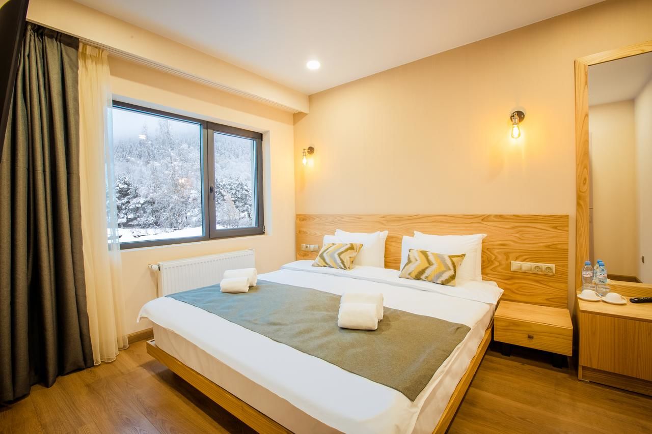 Отель Bakuriani Inn Бакуриани-40
