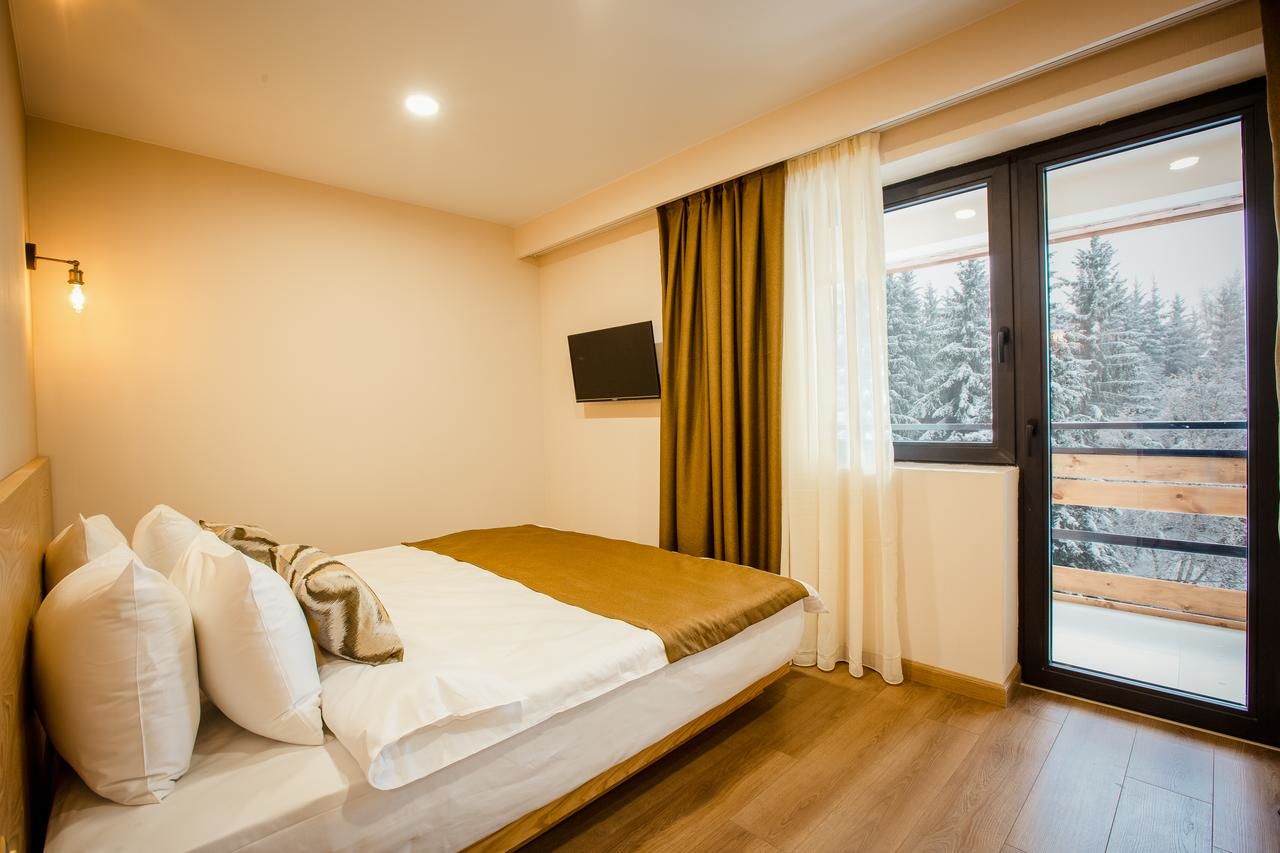 Отель Bakuriani Inn Бакуриани-46
