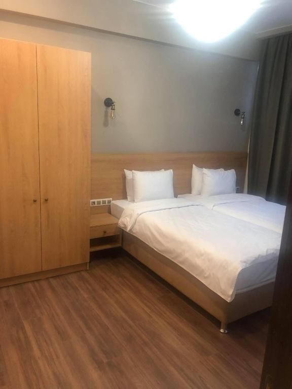 Отель Bakuriani Inn Бакуриани-62