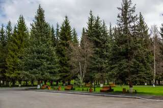 Отель Bakuriani Inn Бакуриани-1